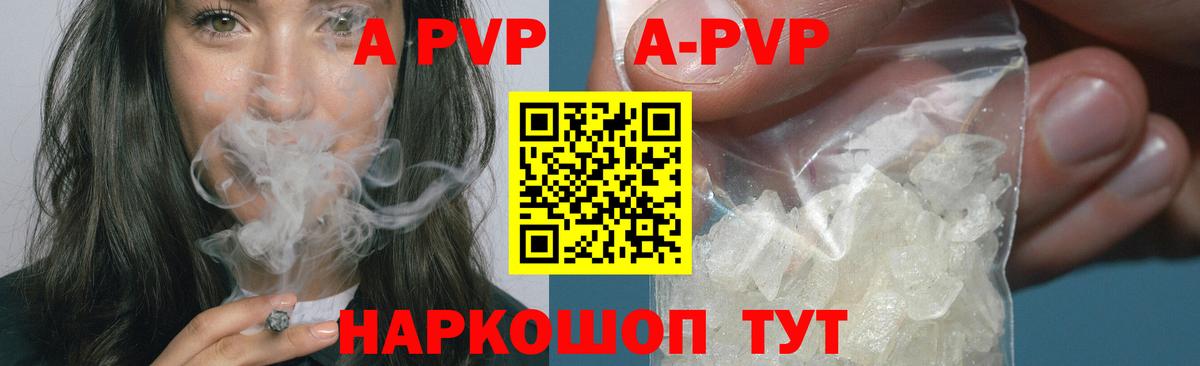 A PVP СК КРИС Шадринск