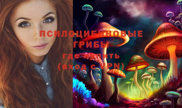 прущая мука Арсеньев