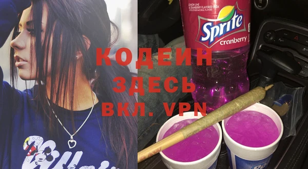 мдпв Вяземский