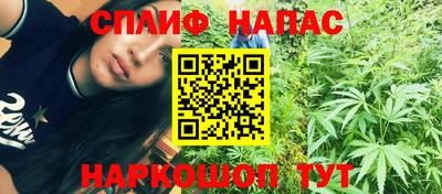 дмт Нальчик