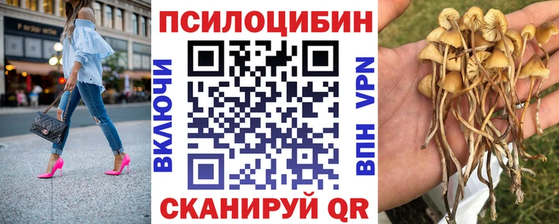 Галлюциногенные грибы ЛСД  дарнет шоп  Шадринск 