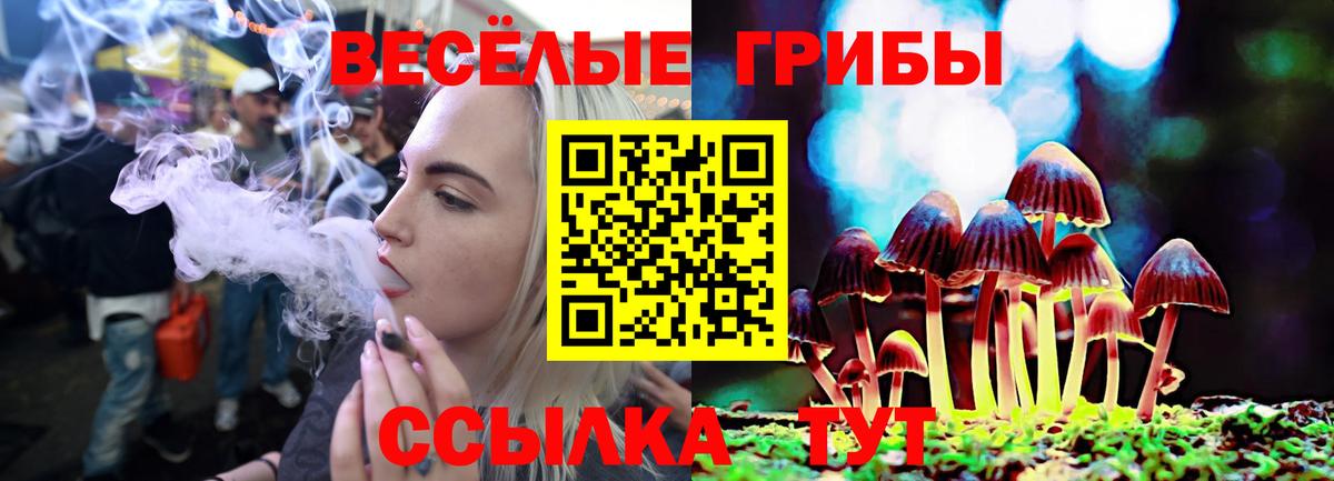 Галлюциногенные грибы Magic Shrooms  Псилоцибиновые грибы прущие грибы  Вход с VPN  Шадринск 