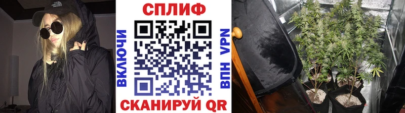 МАРИХУАНА гибрид  Шадринск 